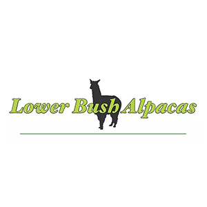 Lower Bush Alpaca